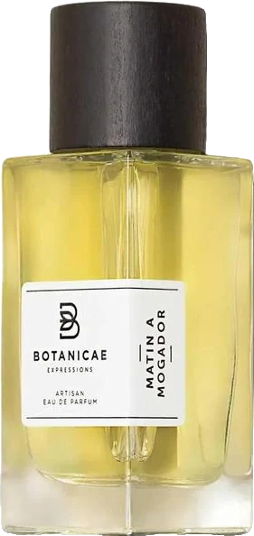 Botanicae Matin a Mogador