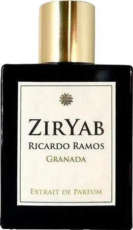 Ricardo Ramos ZirYab