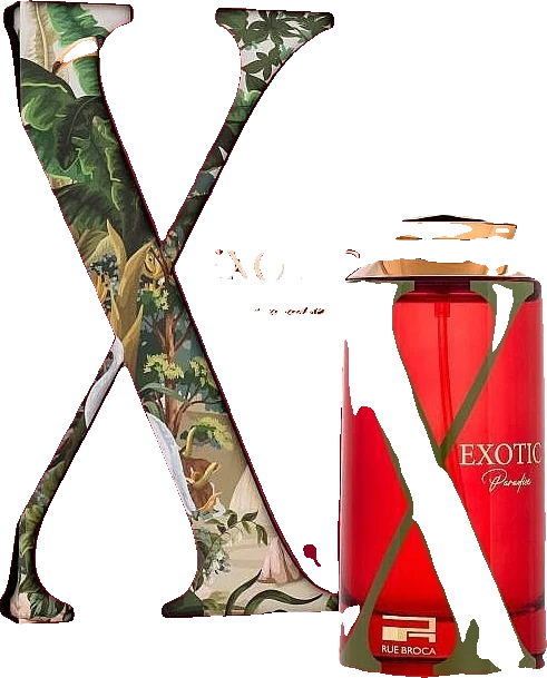 Rue Broca Exotic Paradise