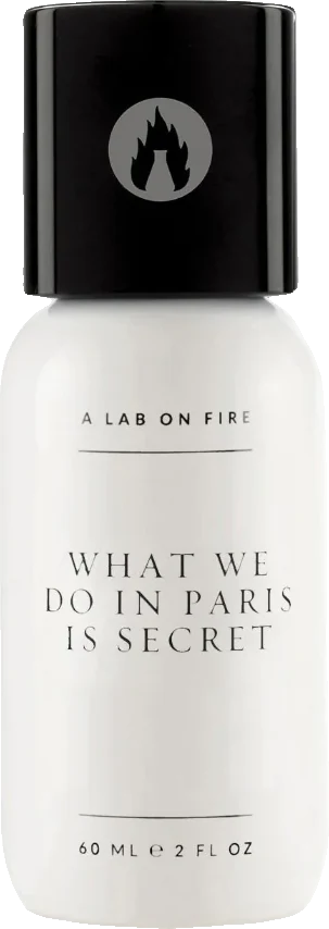 A Lab On Fire What We Do In Paris Is Secret
