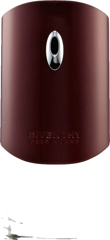 Givenchy Pour Homme