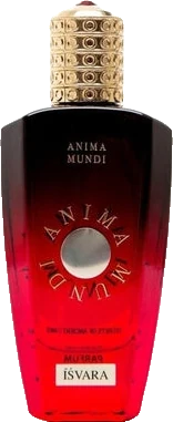 Anima Mundi Isvara