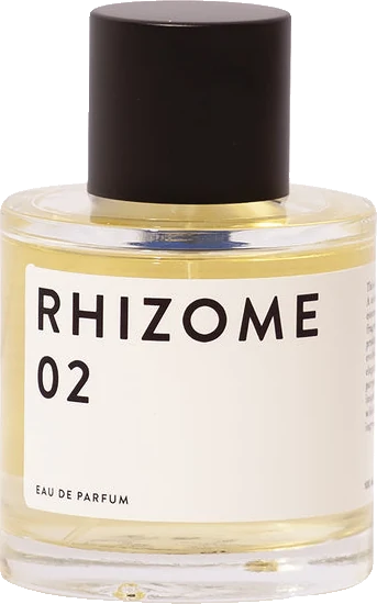 Rhizome 02