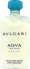 Bvlgari Aqva Pour Homme