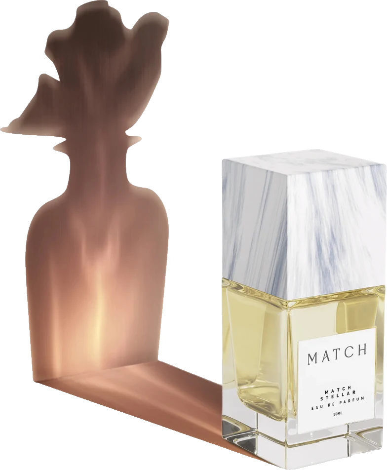 Match Stellar