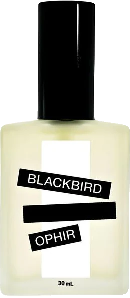 Blackbird Ophir