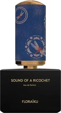 Floraïku Paris Sound of A Ricochet