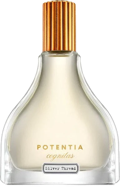 The House Of Potentia Silver Thread