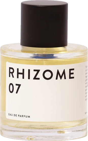 Rhizome 07