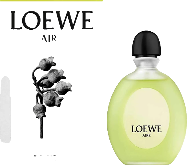 Loewe Aire Loco