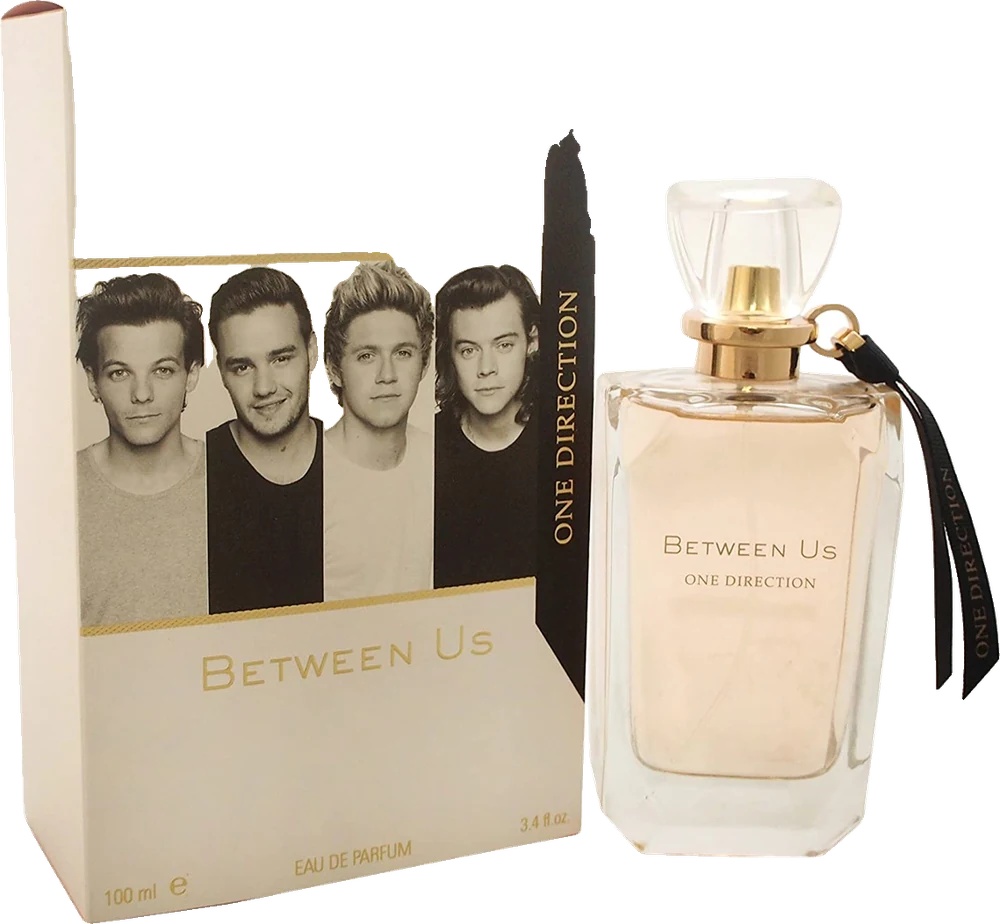 One Direction Between Us