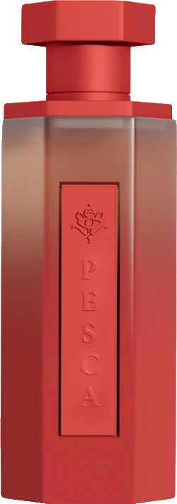 Reef Pesca