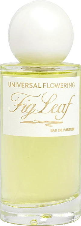 Universal Flowering Fig Leaf