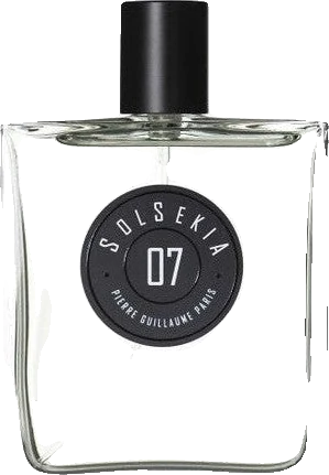 Pierre Guillaume Paris 07 Solsekia