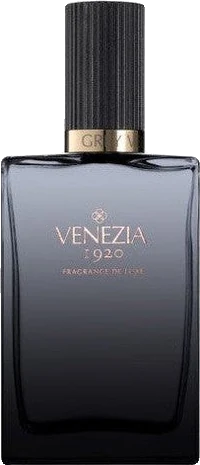 Venezia 1920 Grey Velvet