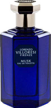 Lorenzo Villoresi Musk