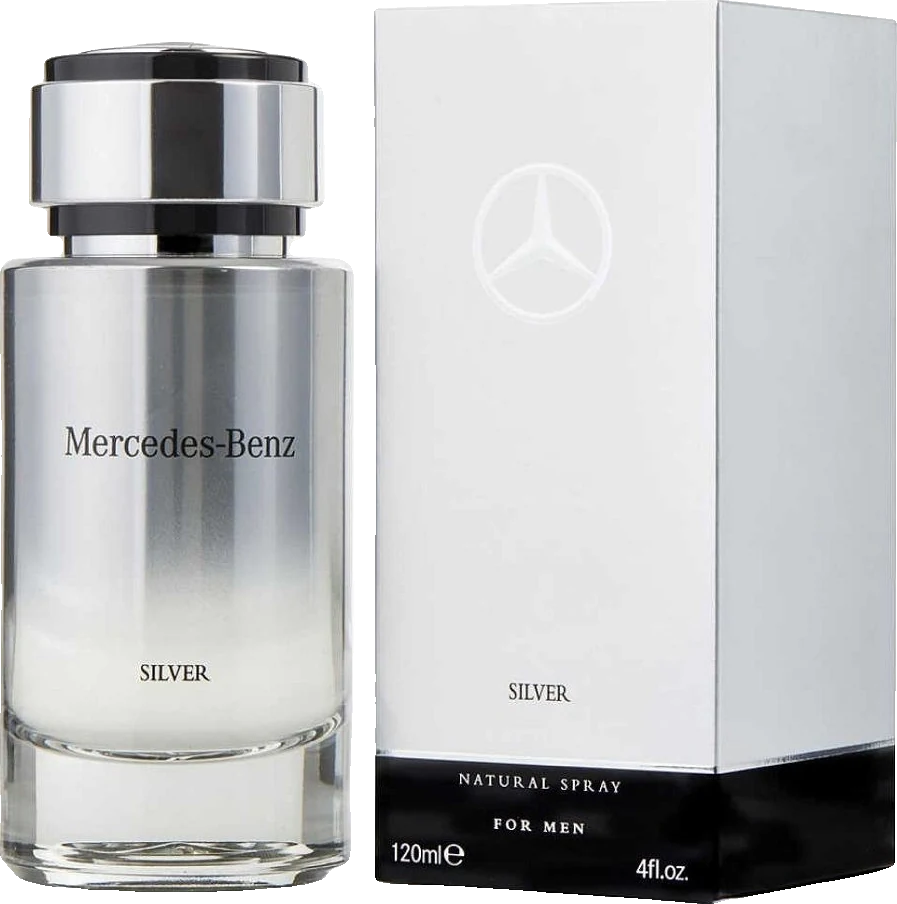 Mercedes Benz Silver