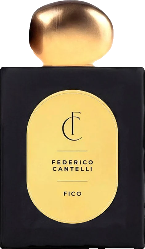 Federico Cantelli Fico