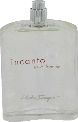 Salvatore Ferragamo Incanto Pour Homme