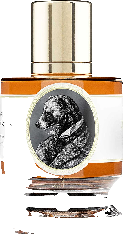 Zoologist Civet