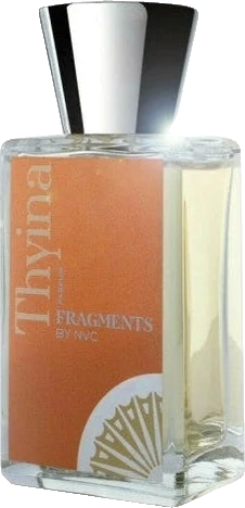 Fragments by NVC Thyina