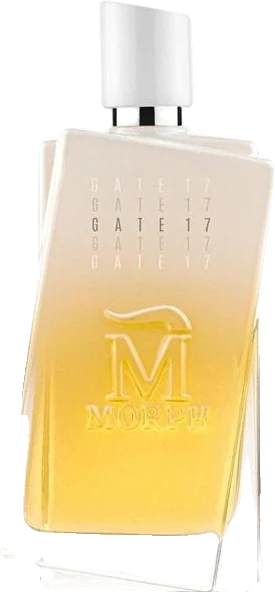 Morph Gate 17