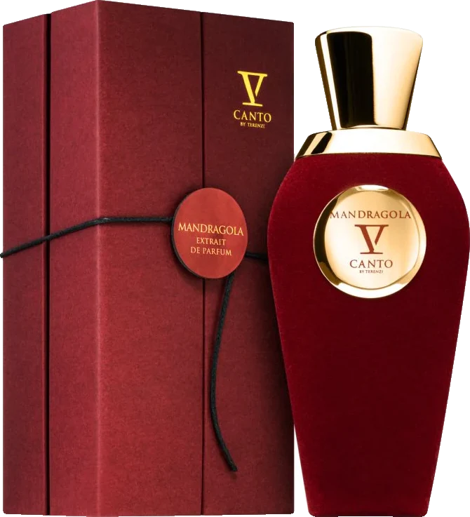 V Canto Mandragola