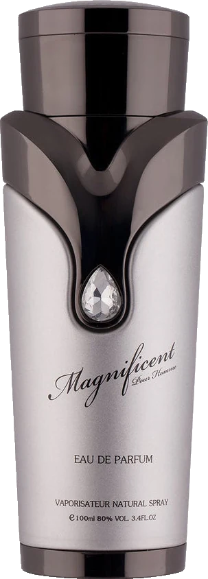 Armaf Magnificent Pour Homme