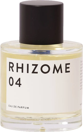 Rhizome 04