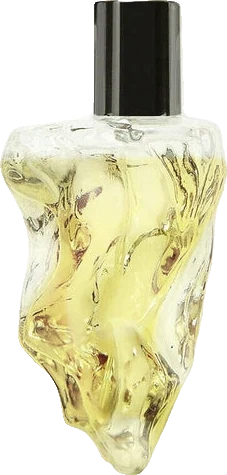 Neandertal Us