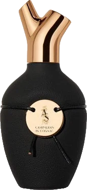 Scents of Wood Cashmeran in Cognac
