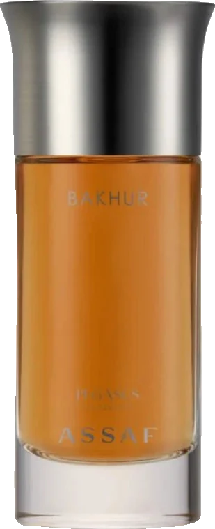 Assaf Bakhur Pegasus