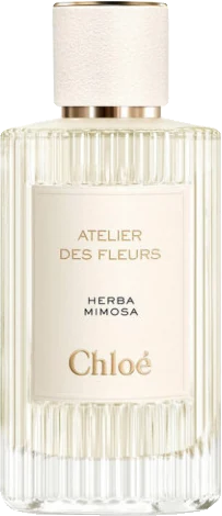 Chloe Herba Mimosa