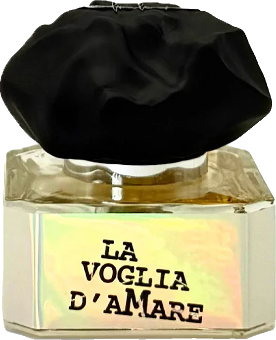 Filippo Sorcinelli La Voglia d'Amare