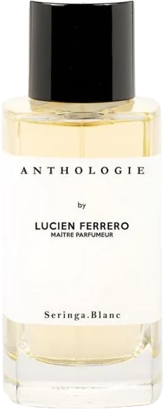 Anthologie Seringa Blanc