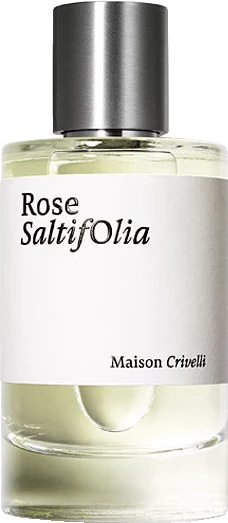 Maison Crivelli Rose Saltifolia
